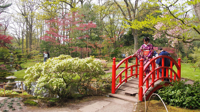 thiết kế sân vườn phong cách Nhật
