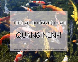 Dịch Vụ Thiết Kế Thi Công Hồ Cá Koi Quảng Ninh