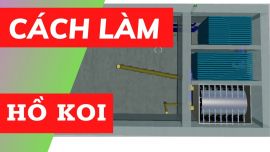 Cách làm hồ cá Koi đúng kỹ thuật mà bạn cần phải biết!