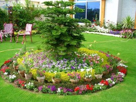 Hướng dẫn cách trang trí sân vườn đẹp hợp với xu hướng