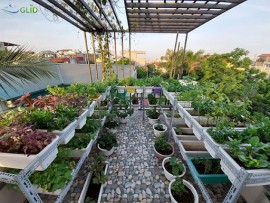 Vật liệu trồng cây trên sân thượng đạt tiêu chuẩn gồm những gì?