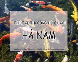 Dịch Vụ Thiết Kế Thi Công Hồ Cá Koi Hà Nam