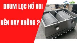 Có nên sử dụng Drum lọc cho hồ koi không?