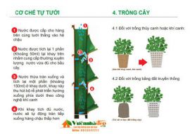  Tìm Hiểu Về Hệ Tưới Nhỏ Giọt Tự Động Cho Thi Công Vườn Trên Tường