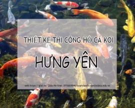 Dịch Vụ Thiết Kế Thi Công Hồ Cá Koi Hưng Yên